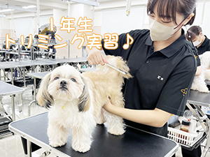 １年生のトリミング実習♪